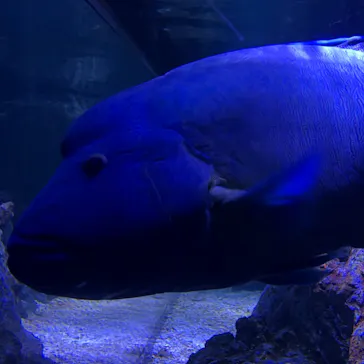 すみだ水族館に投稿された画像（2021/2/24）