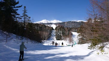Mt.乗鞍スノーリゾートに投稿された画像（2021/2/25）