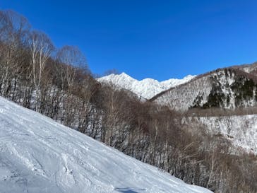 鹿島槍スキー場 ファミリーパークに投稿された画像（2021/2/25）