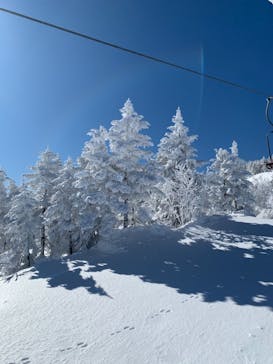 志賀高原マウンテンリゾートに投稿された画像（2021/2/25）