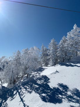 志賀高原マウンテンリゾートに投稿された画像（2021/2/25）