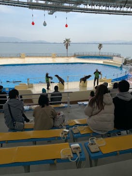 マリンワールド海の中道に投稿された画像（2021/2/25）