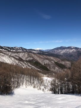 やぶはら高原スキー場に投稿された画像（2021/2/25）