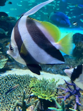 サンシャイン水族館に投稿された画像（2021/2/25）