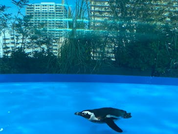 サンシャイン水族館に投稿された画像（2021/2/25）