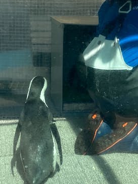 サンシャイン水族館に投稿された画像（2021/2/25）