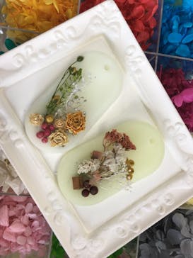 ずこうしつ〜sugamo〜に投稿された画像（2021/2/25）