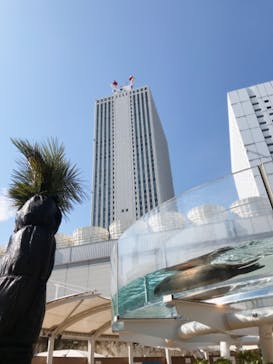 サンシャイン水族館に投稿された画像（2021/2/25）