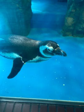 株式会社Gに投稿された画像（2021/2/25）