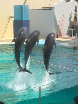 株式会社Gに投稿された画像（2021/2/25）