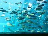 箱根園水族館に投稿された画像（2021/2/25）