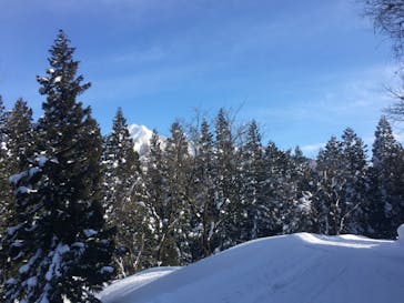 石打丸山スキー場 / ザ・ヴェランダ石打丸山に投稿された画像（2021/2/25）