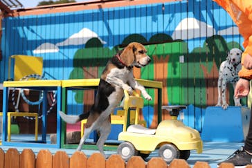 しろとり動物園に投稿された画像（2021/2/25）