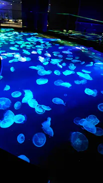 すみだ水族館に投稿された画像（2021/2/25）