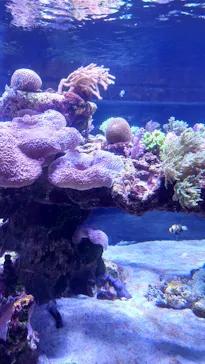 すみだ水族館に投稿された画像（2021/2/25）