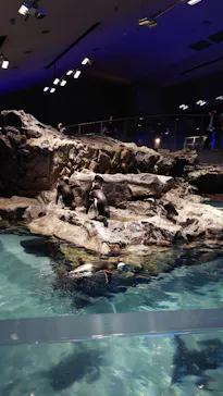 すみだ水族館に投稿された画像（2021/2/25）