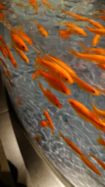 すみだ水族館に投稿された画像（2021/2/25）