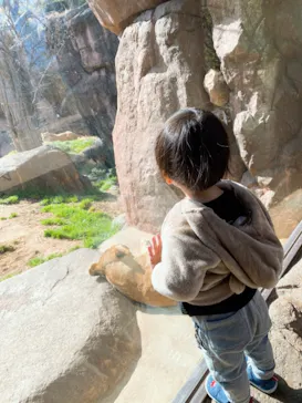 天王寺動物園に投稿された画像（2021/2/25）