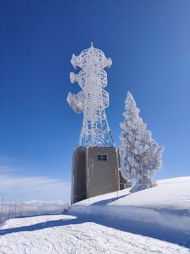 野沢温泉スキー場に投稿された画像（2021/2/25）