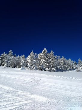 志賀高原マウンテンリゾートに投稿された画像（2021/2/25）