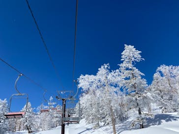 志賀高原中央エリアスキー場に投稿された画像（2021/2/25）