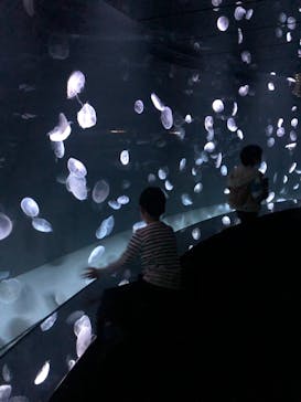 サンシャイン水族館に投稿された画像（2021/2/25）