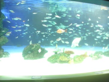 サンシャイン水族館に投稿された画像（2021/2/25）