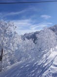 野沢温泉スキー場に投稿された画像（2021/2/26）