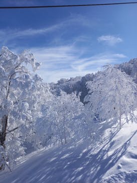野沢温泉スキー場に投稿された画像（2021/2/25）