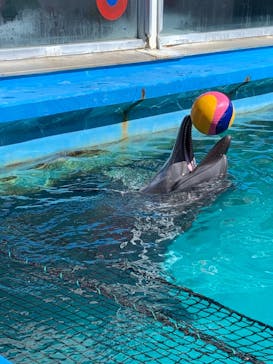 ゼロ距離水族館 伊勢シーパラダイスに投稿された画像（2021/2/25）