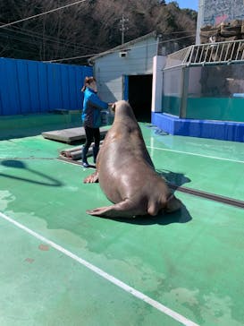 ゼロ距離水族館 伊勢シーパラダイスに投稿された画像（2021/2/25）