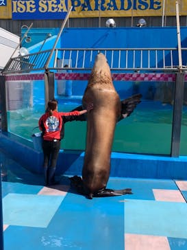 ゼロ距離水族館 伊勢シーパラダイスに投稿された画像（2021/2/25）