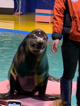 ゼロ距離水族館 伊勢シーパラダイスに投稿された画像（2021/2/25）