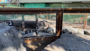 株式会社Gに投稿された画像（2021/2/26）