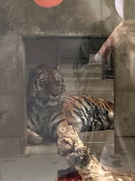 天王寺動物園に投稿された画像（2021/2/26）