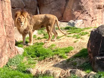 天王寺動物園に投稿された画像（2021/2/26）