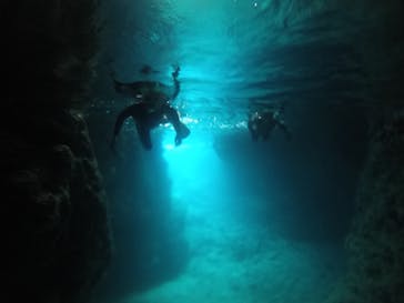 武藤潜水に投稿された画像（2021/2/26）