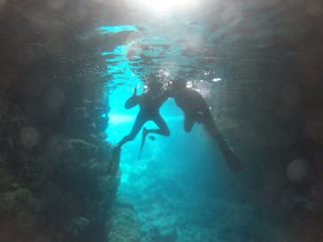 武藤潜水に投稿された画像（2021/2/26）