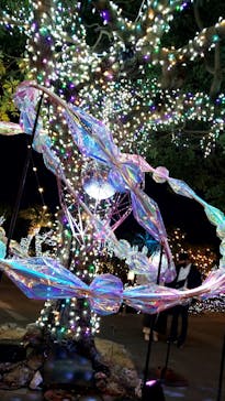 江の島シーキャンドルに投稿された画像（2021/2/26）