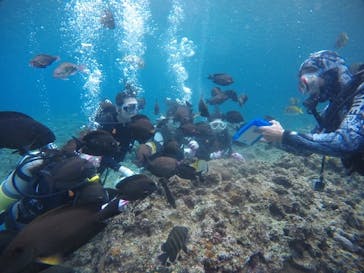 武藤潜水に投稿された画像（2021/2/26）