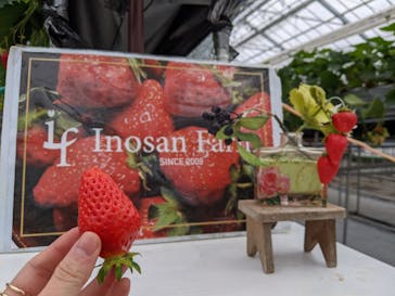 いのさんの観光農園に投稿された画像（2021/2/26）