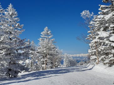 志賀高原マウンテンリゾートに投稿された画像（2021/2/26）