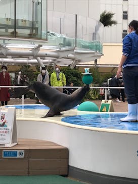 サンシャイン水族館に投稿された画像（2021/2/26）