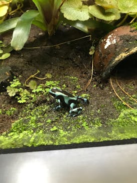 サンシャイン水族館に投稿された画像（2021/2/26）