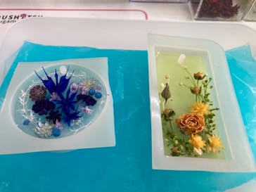 ずこうしつ〜sugamo〜に投稿された画像（2021/2/27）