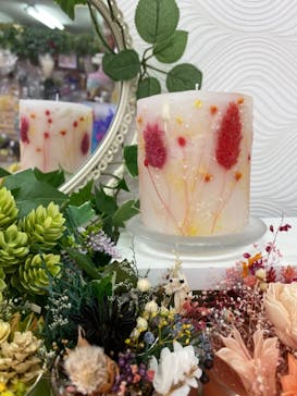 ずこうしつ〜sugamo〜に投稿された画像（2021/2/27）