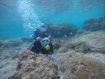 武藤潜水に投稿された画像（2021/2/27）