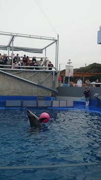 大分マリーンパレス水族館 「うみたまご」に投稿された画像（2021/2/27）