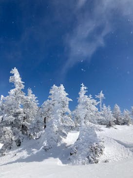 志賀高原マウンテンリゾートに投稿された画像（2021/2/27）