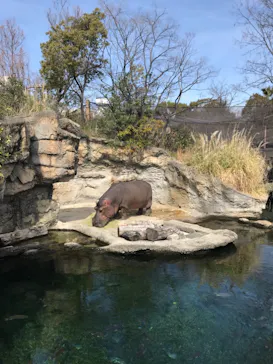 天王寺動物園に投稿された画像（2021/2/27）